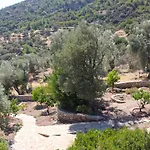 Zephyros Mesudiye (Datca)