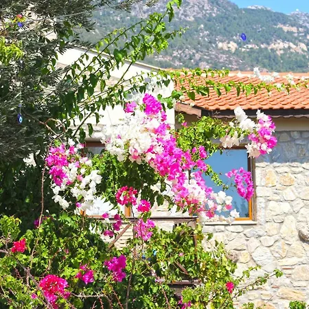 Hotel Zephyros