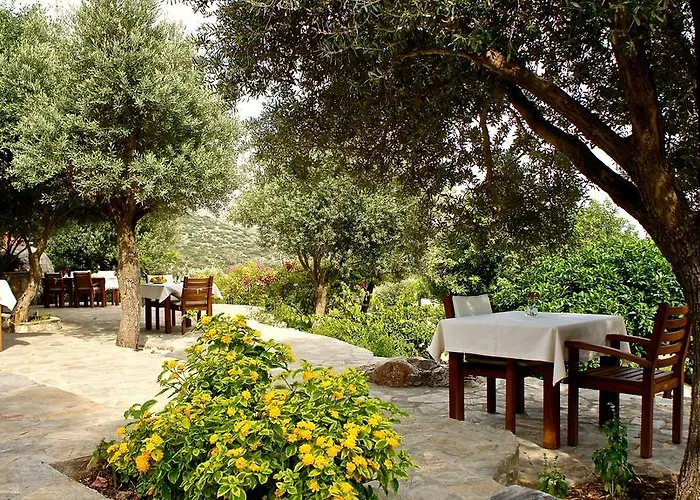 Hotel Zephyros 3*