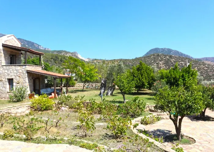 Zephyros Mesudiye (Datca)