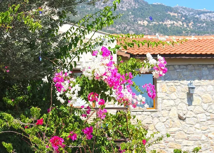 Hotel Zephyros