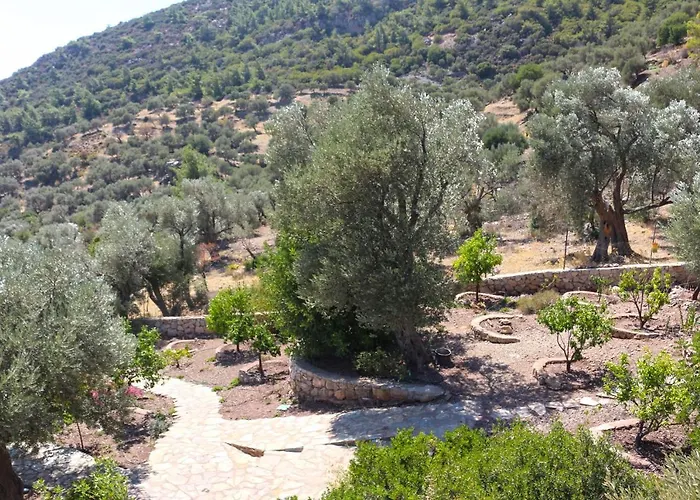 Zephyros Mesudiye (Datca)