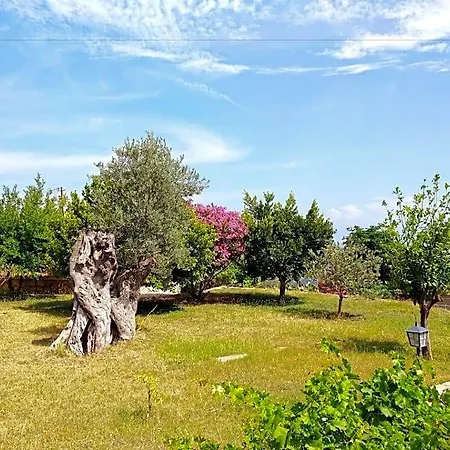 Hotel Zephyros 3*