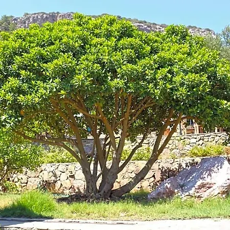 Zephyros 3* Mesudiye (Datca)